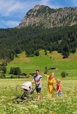 Familie mit Kinderwagen auf Blumenwiese vor Berglandschaft