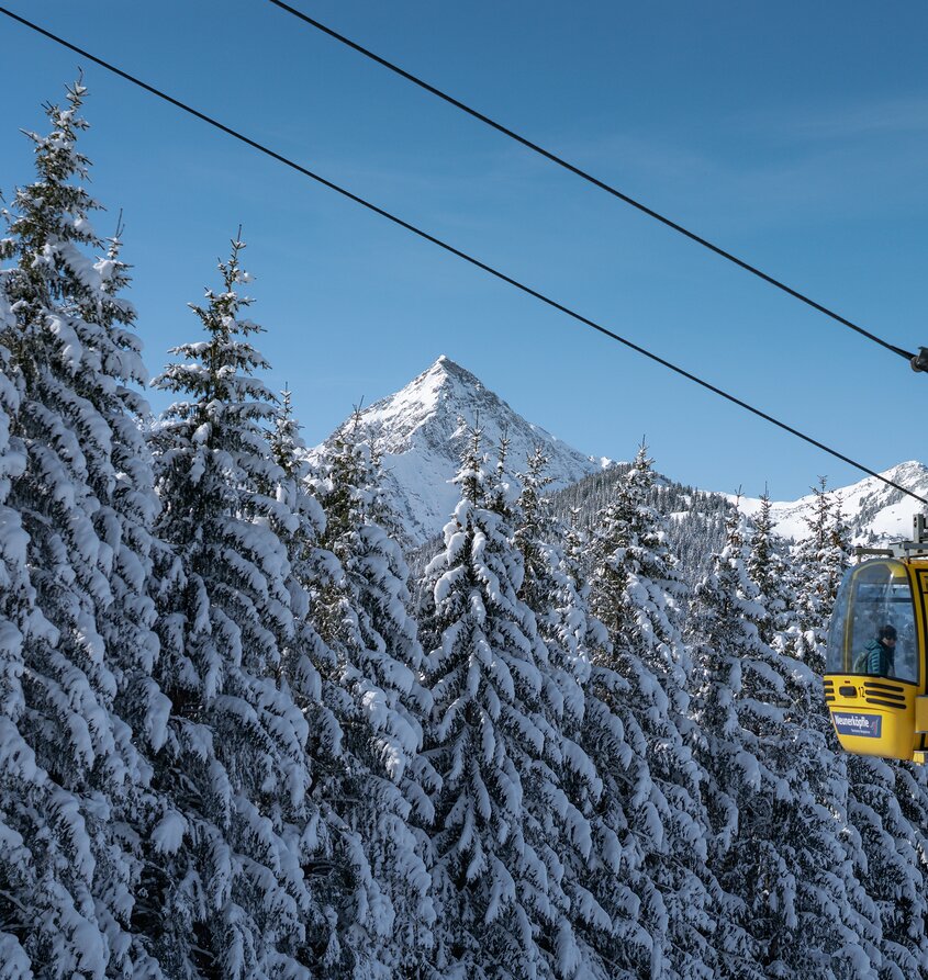 Schneebdeckte Tannen, gelbe Seilbahnkabine, Berg im Hintergrund