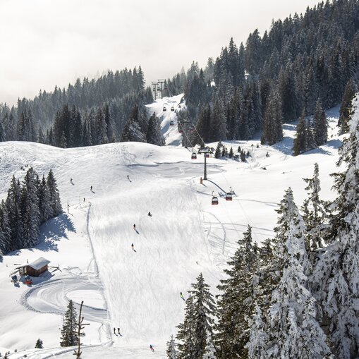 Verschneite Skipiste mit Skifahrern und Sessellift im Wald